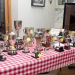 Somerset Road Club Trophies
