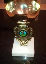 School Person Cup School Person Cup